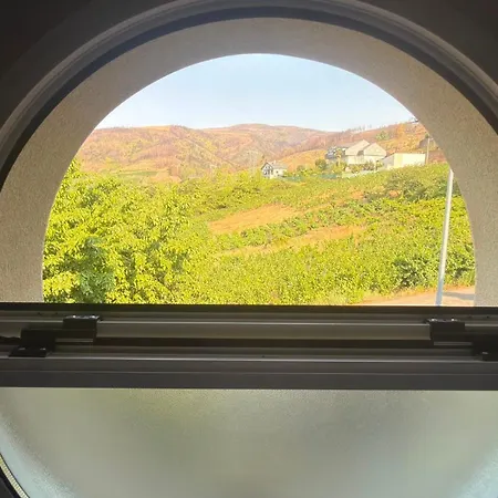 Casa Con Vistas A Vinedos Villamartín